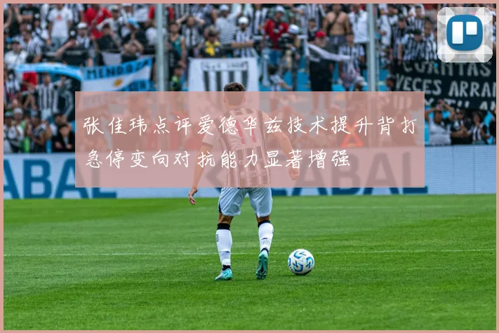 张佳玮点评爱德华兹技术提升背打急停变向对抗能力显著增强